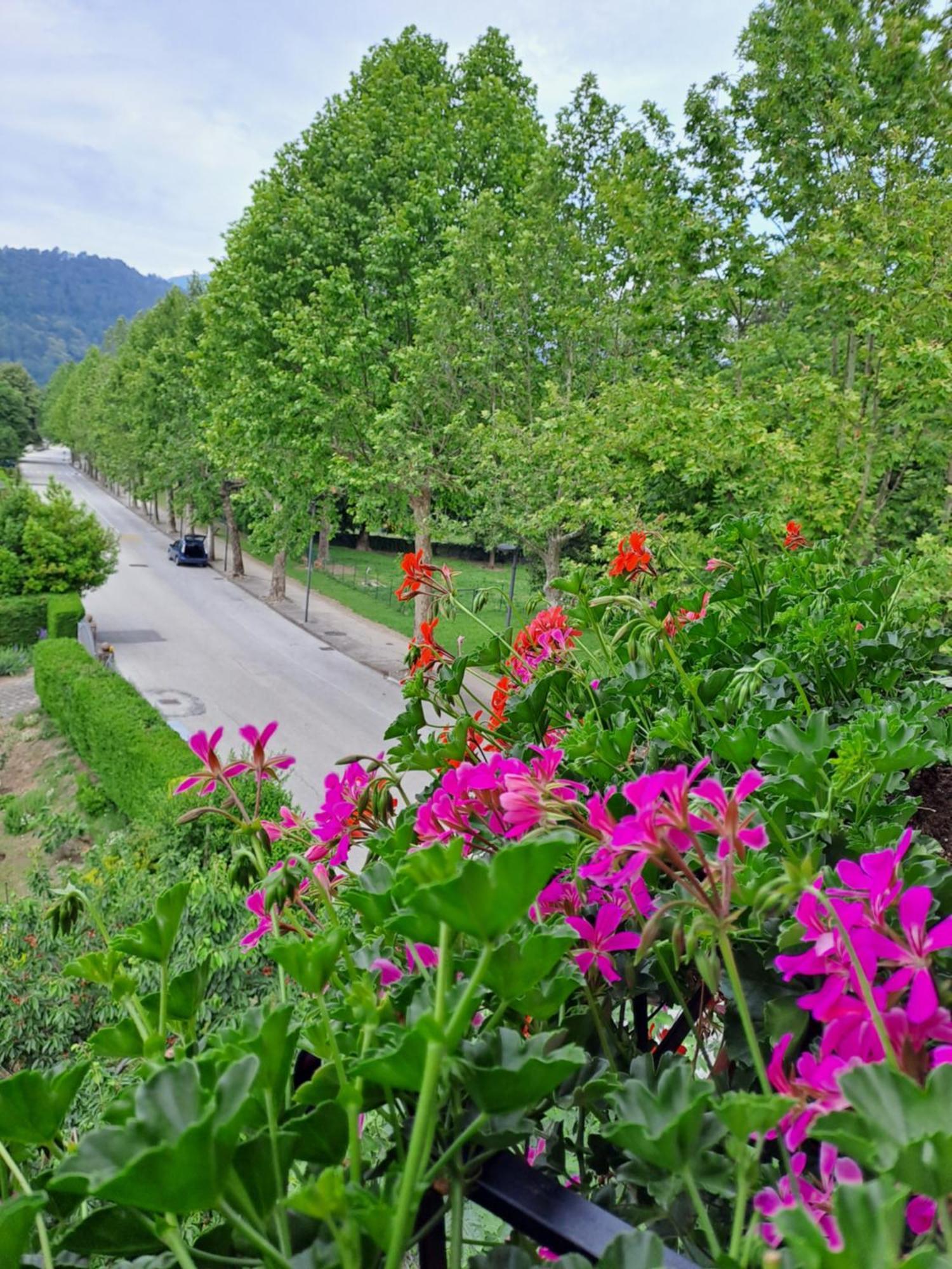 Casa Alby Lägenhet Levico Terme Exteriör bild