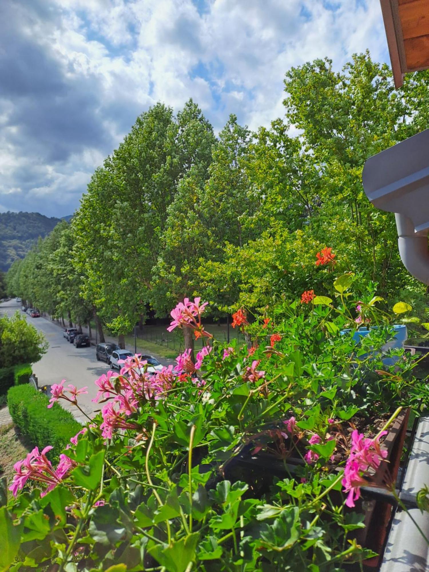 Casa Alby Lägenhet Levico Terme Exteriör bild